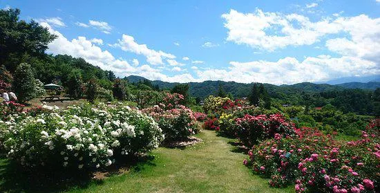 Takatō Shinwanooka Rose Garden