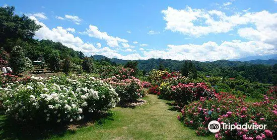 Takatō Shinwanooka Rose Garden