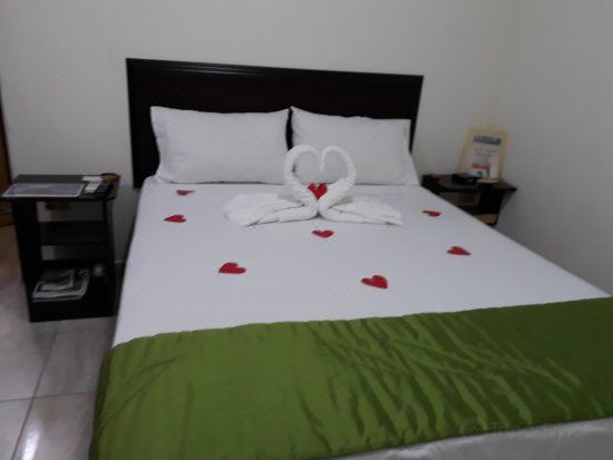 Stayinn Trinidad - Housity