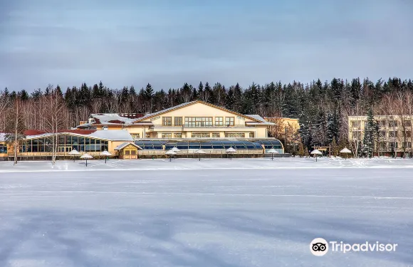 亞霍蒂諾金斯克公園酒店