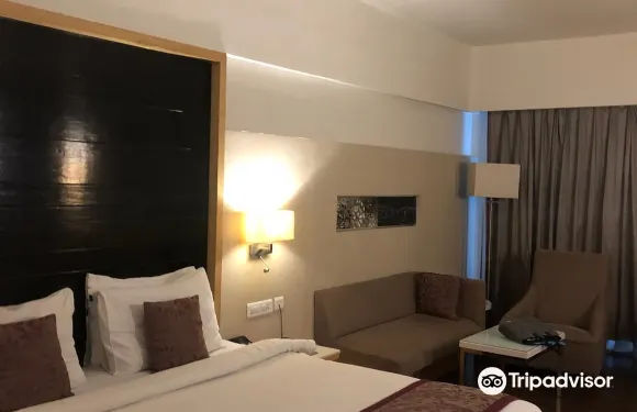 拉賈蒙德里謝爾頓酒店