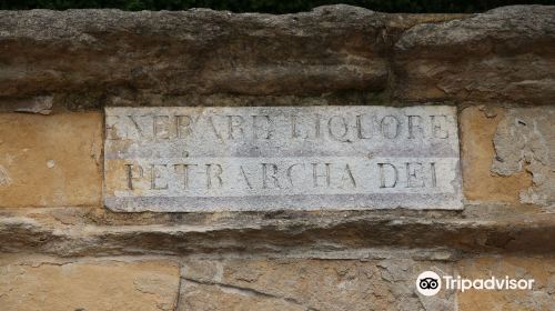La fontana del Petrarca