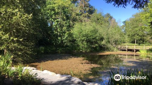 Campbell Valley Regional Park