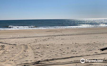 Kirk Park Beach