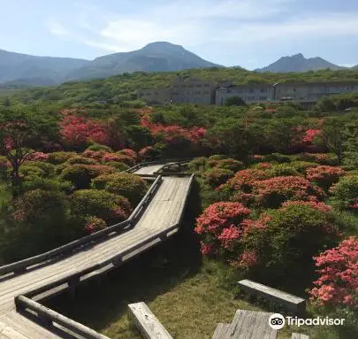 栃木縣那須町top10好去處 21那須町旅遊攻略 Trip Com 栃木縣那須町top10好去處 21那須町旅遊攻略 Trip Com