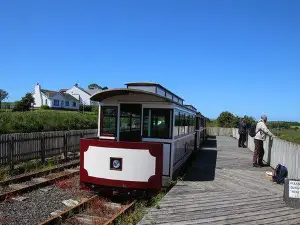 Giant's Causeway & Bushmills Railway