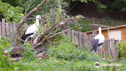 Schwarzwaldzoo Waldkirch