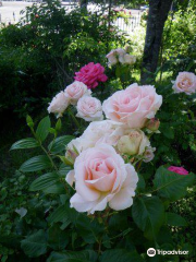 Royce Rose Garden
