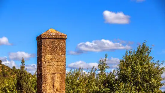 Bodegas Hacienda El Ternero