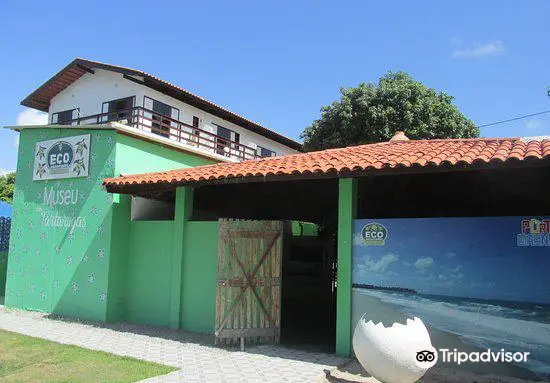 Museu das Tartarugas - ONG Ecoassociados