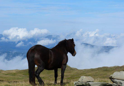 Monte Cimone