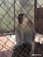 University of Ibadan, Zoological Garden