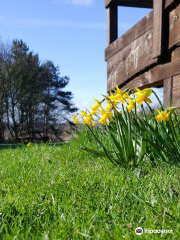 Bulwell Forest Garden