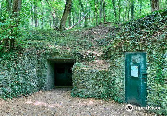 Prehistoric Flint Mines at Rijckholt-St.Geertruid