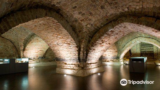 Crypts Of Vilnius Cathedral