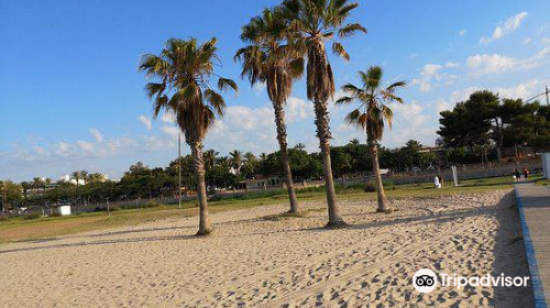 Playa de Adarro