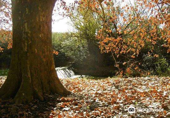 4_Balneario Las Jarillas