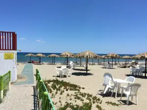 Feraxi Beach Il Delfino