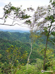 Mae Wong National Park