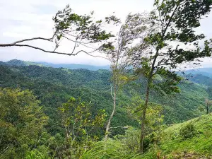 Mae Wong National Park