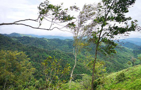 Mae Wong National Park