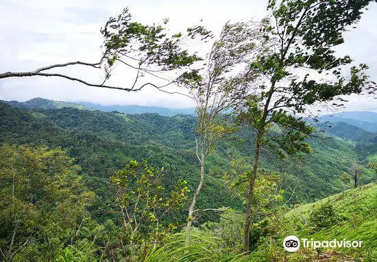 Mae Wong National Park