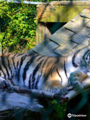 Cherry Brook Zoo Inc.