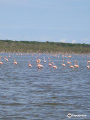 Lake Maracaibo