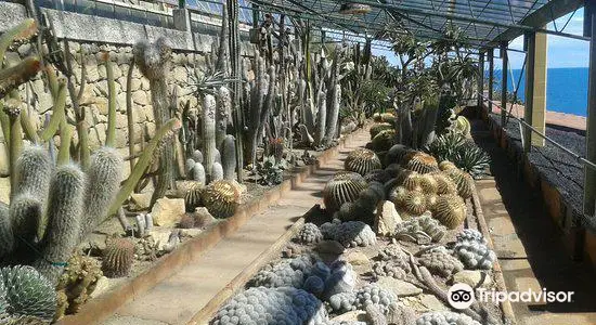 Pallanca exotic gardens