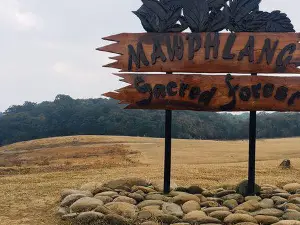 Mawphlang Sacred Forest