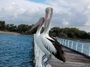 The Pier