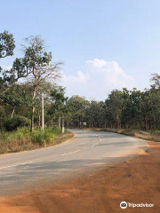 Nagarjunsagar-Srisailam Tiger Reserve