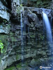 Hilton Falls Conservation Area