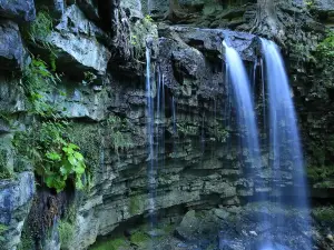Hilton Falls Conservation Area