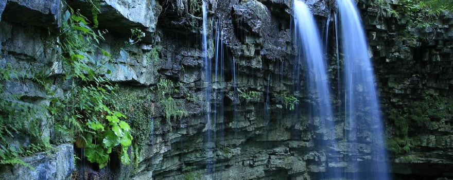 Hilton Falls Conservation Area