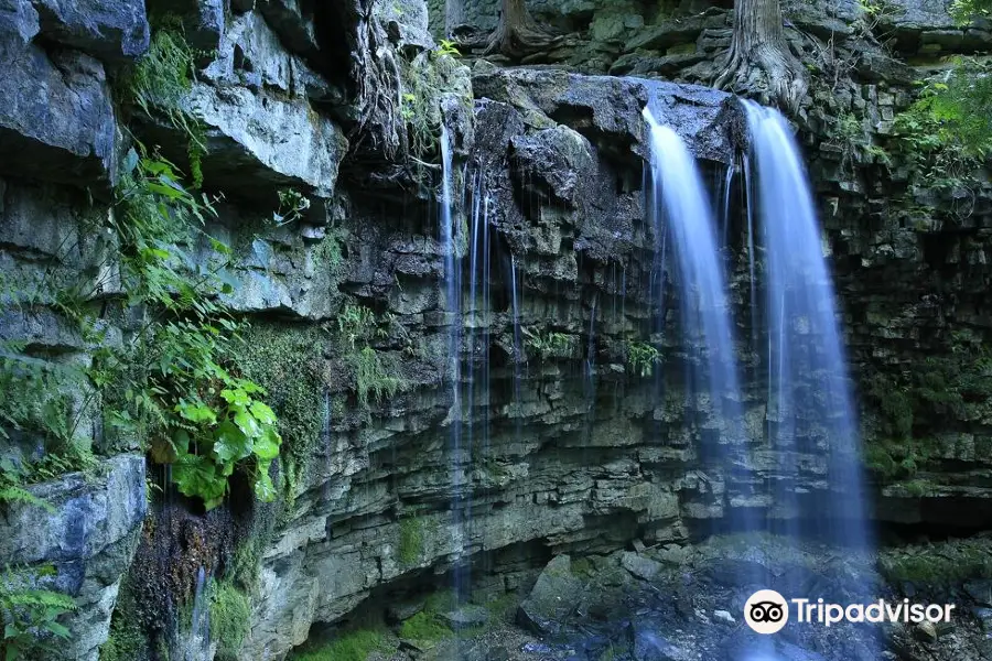 Hilton Falls Conservation Area