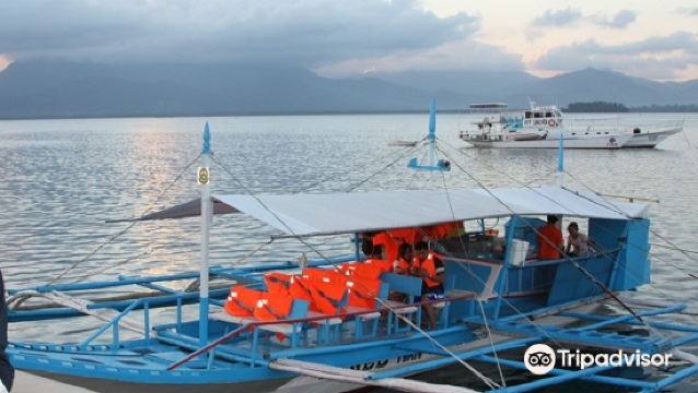 Firefly Watching Palawan