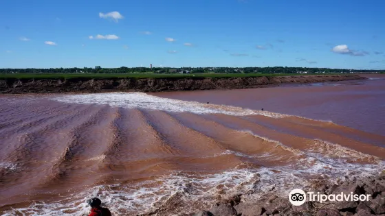 Tidal Bore