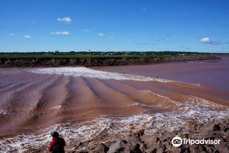 Tidal Bore