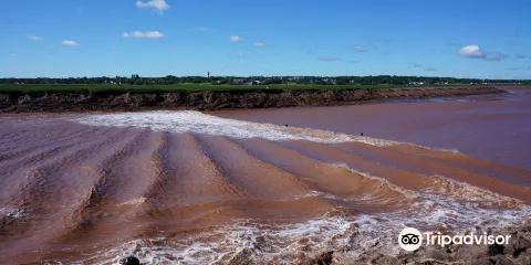 Tidal Bore