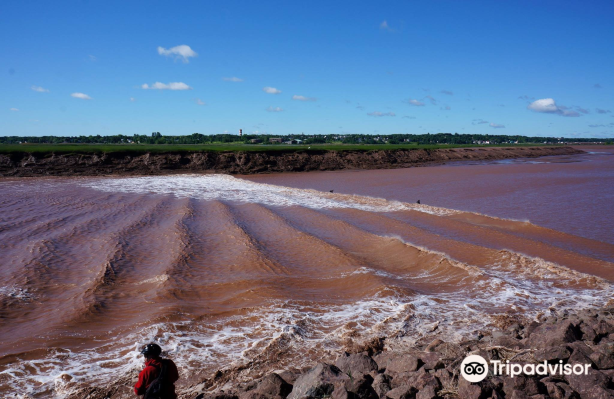 Tidal Bore