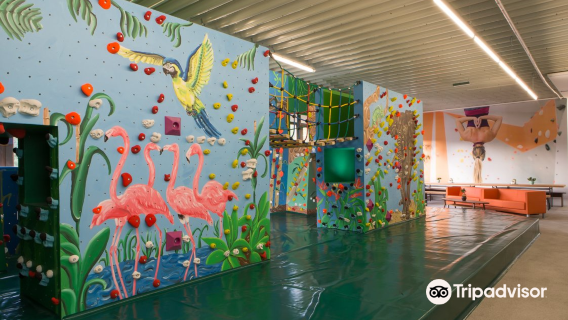 Boulderwelt Regensburg