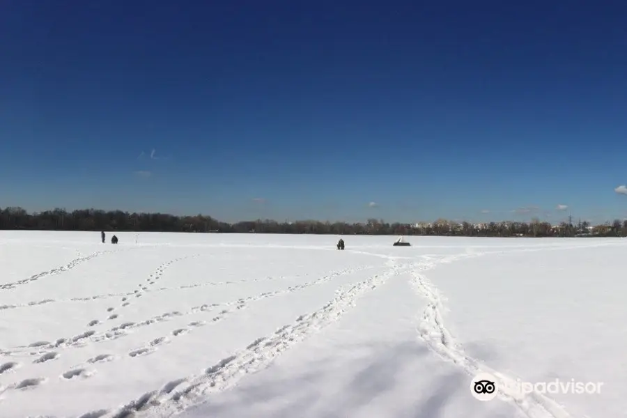 Lake Beloye (Vologda Oblast)