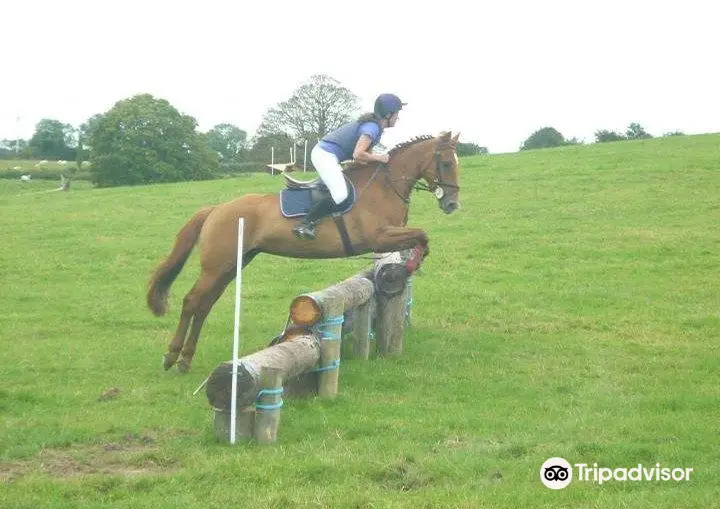 Athlone Equestrian Centre