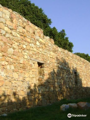 Old Timber Shed