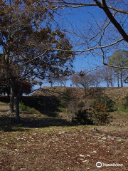 Iwaya Castle Ruins