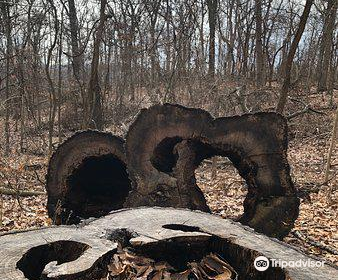 Powder Valley Conservation Nature Center