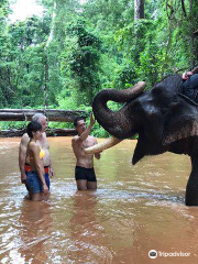 Airavata Khmer Elephant Foundation