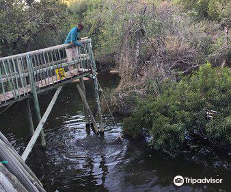 Kwena Crocodile Farm