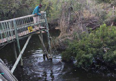 Kwena Crocodile Farm